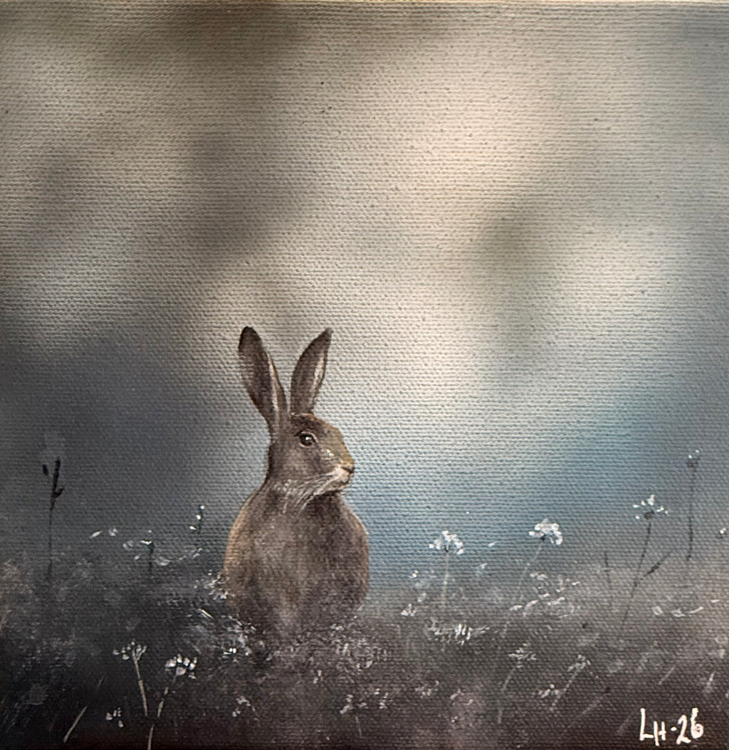 Hare på äng
