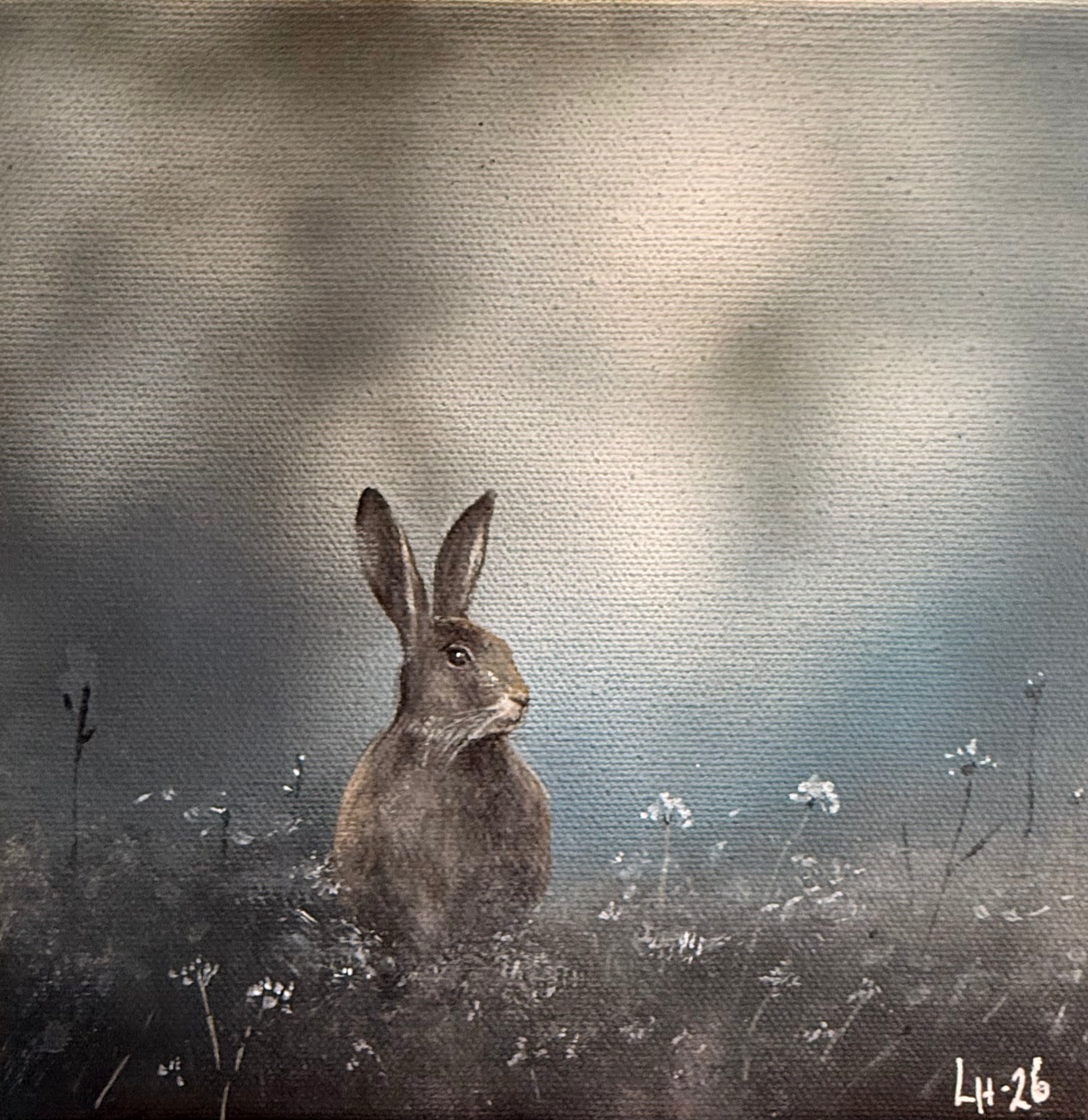 Hare på äng