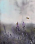 Humlor och lavendel