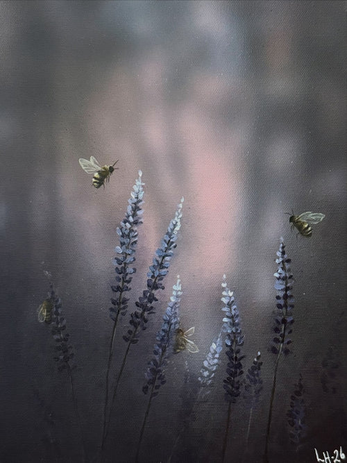 Honungsbin bland lavendel